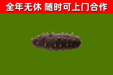 张掖烟酒回收干海参.jpg